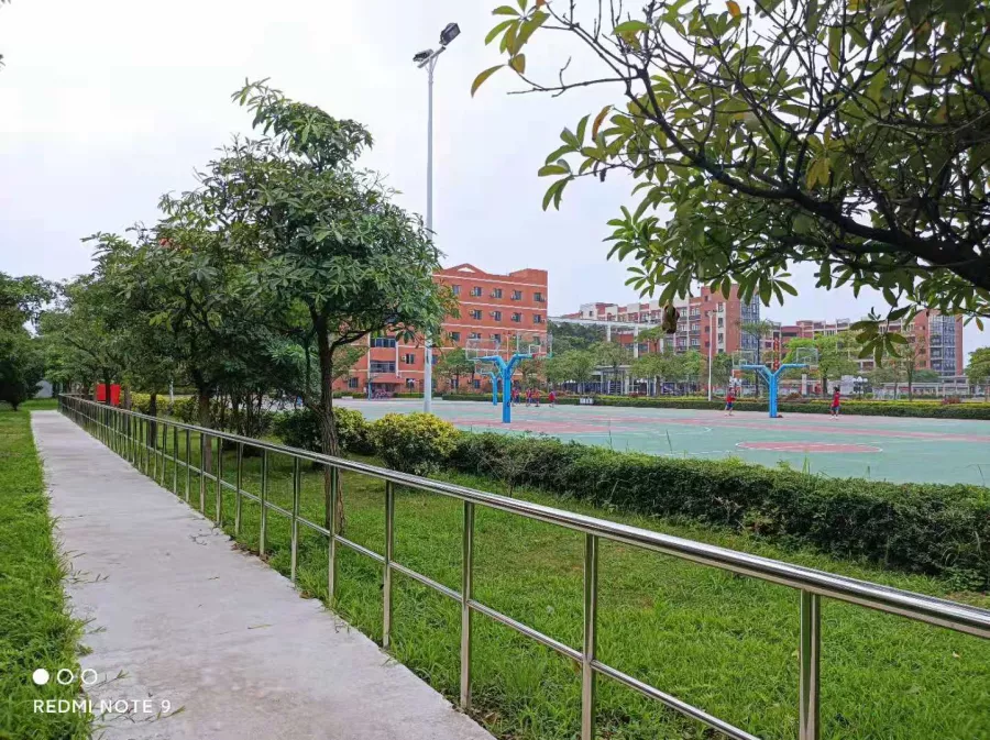 天道酬勤不滞后，力耕不欺总务实|北大公学肇庆实验学校后勤总务工作纪实(图5)